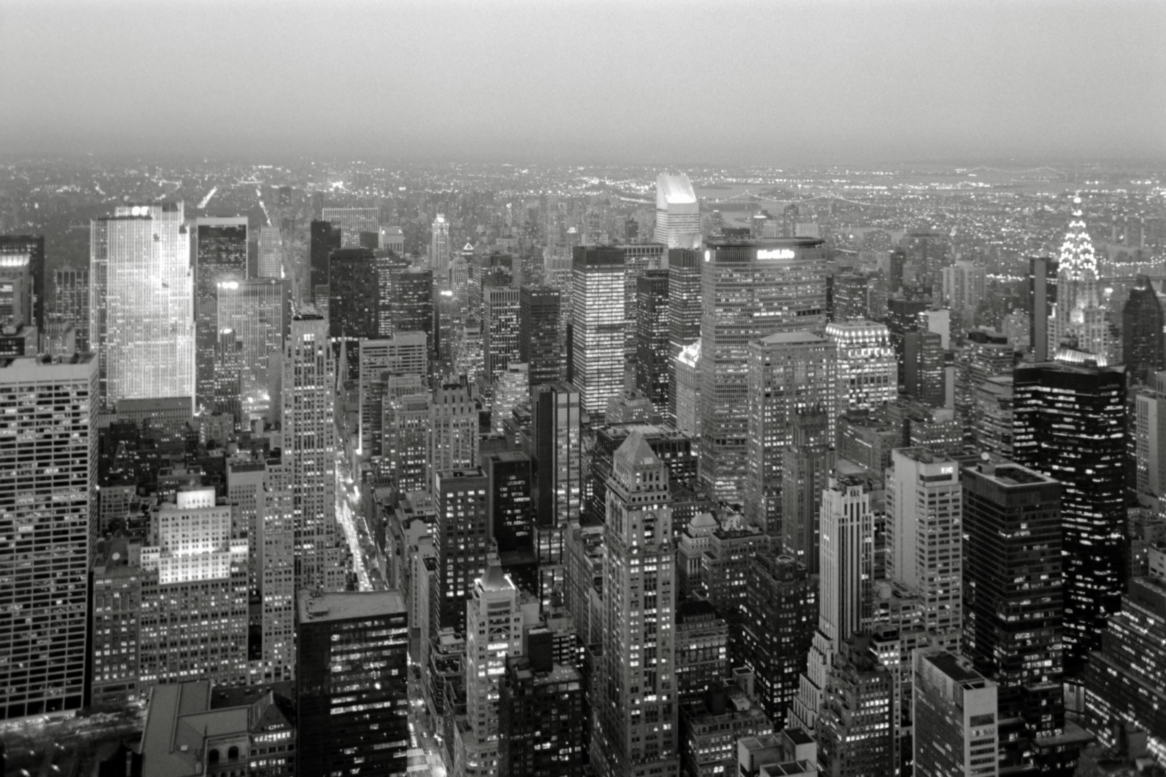 AHP F1995 04 007 sc240817 img25 NLP